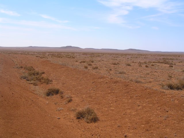 tagalong757.jpg