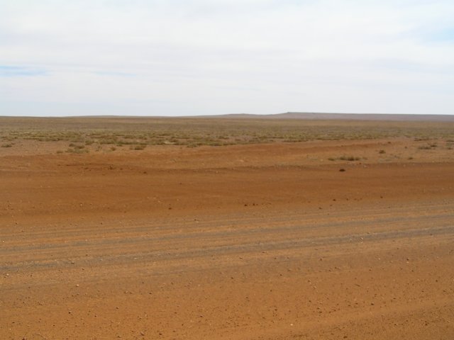 tagalong759.jpg