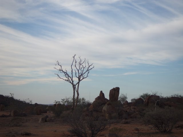 tagalong765.jpg