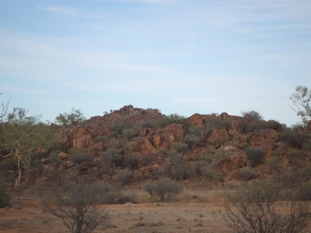 tagalong767.jpg