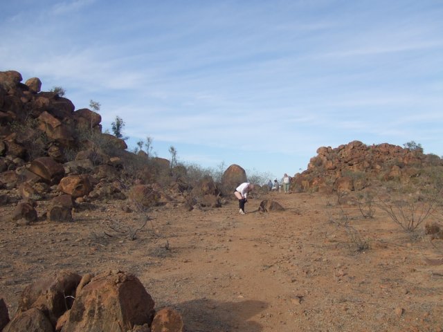 tagalong781.jpg