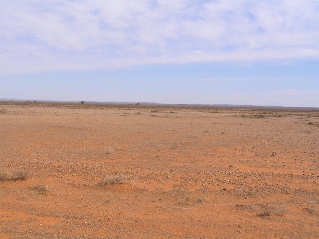 tagalong793.jpg