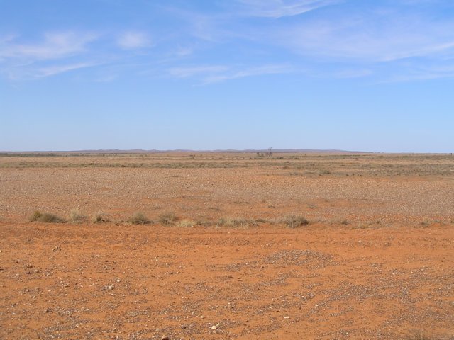 tagalong794.jpg