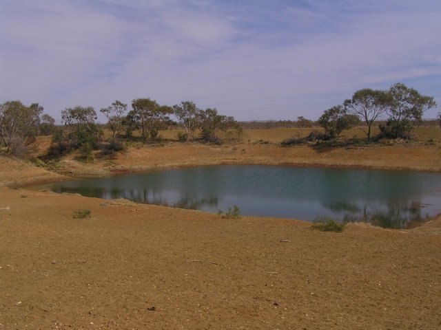 tagalong796.jpg