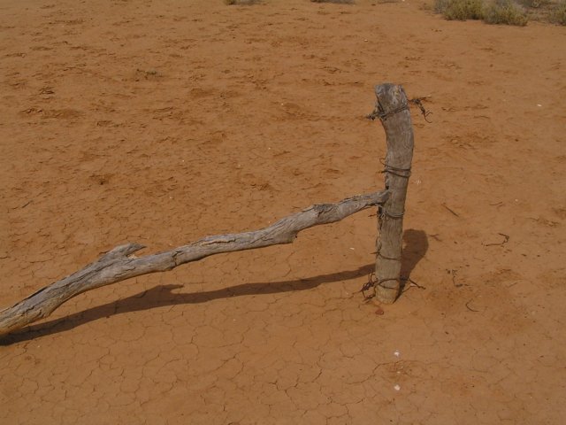 tagalong797.jpg