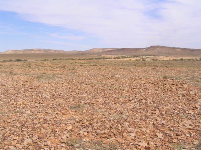 tagalong798.jpg