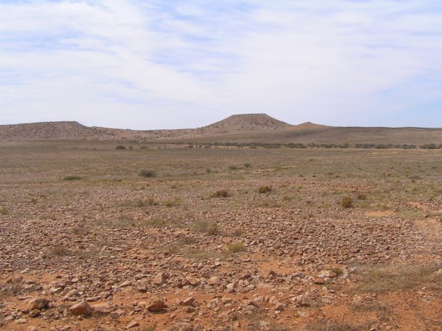 tagalong799.jpg