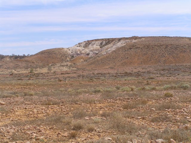 tagalong801.jpg