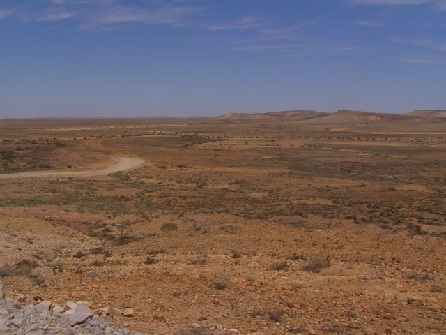 tagalong803.jpg