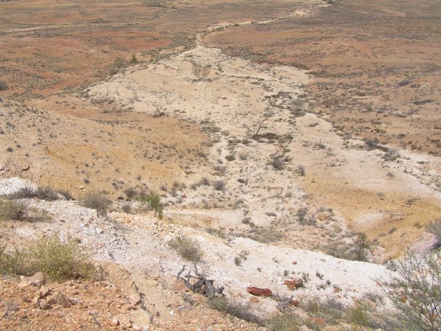 tagalong805.jpg