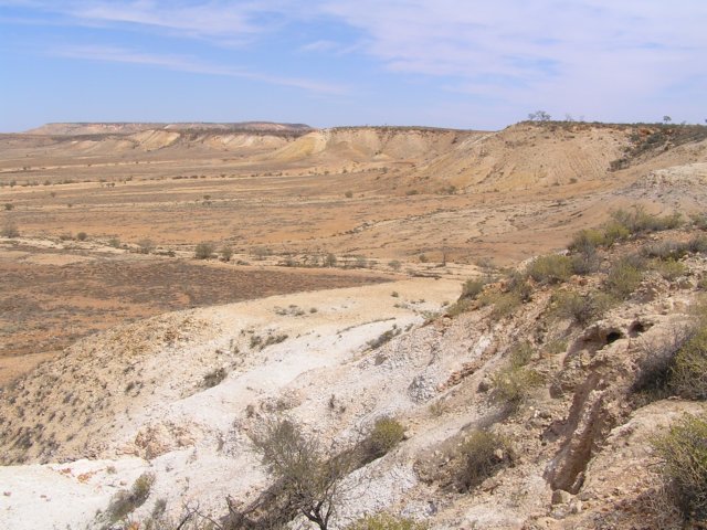 tagalong806.jpg