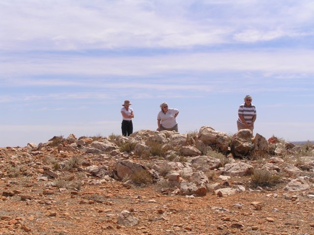 tagalong807.jpg