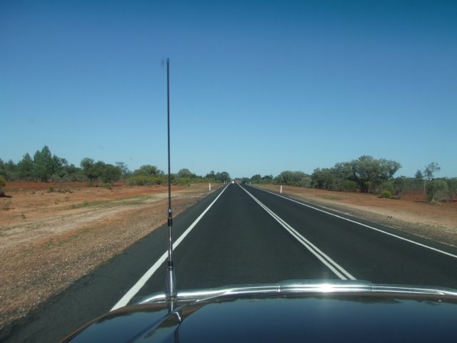 tagalong81.jpg