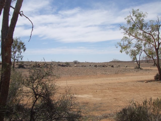 tagalong816.jpg