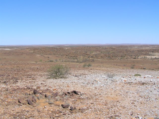 tagalong820.jpg