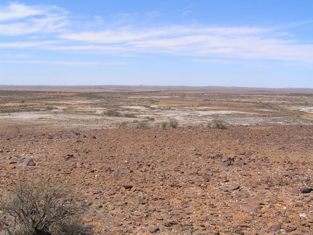 tagalong821.jpg