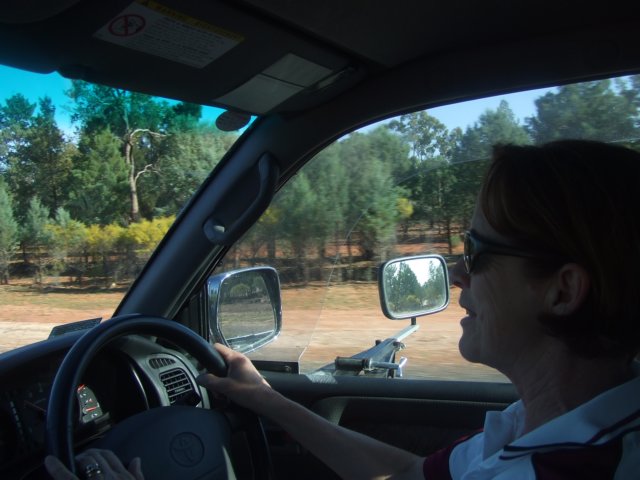 tagalong83.jpg