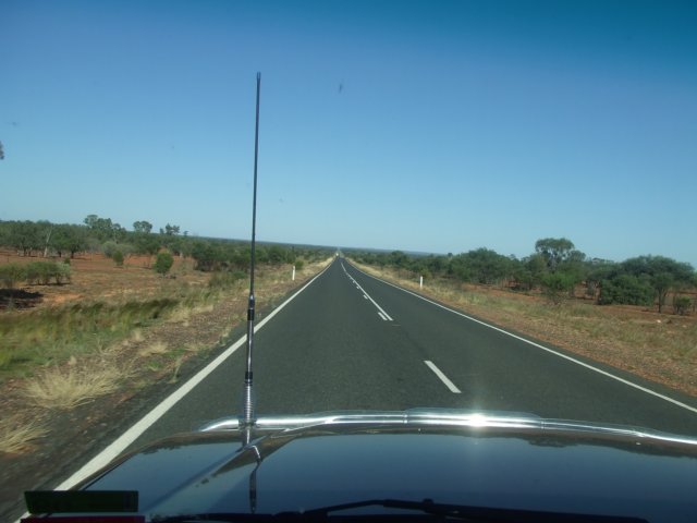 tagalong86.jpg