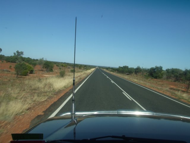 tagalong87.jpg
