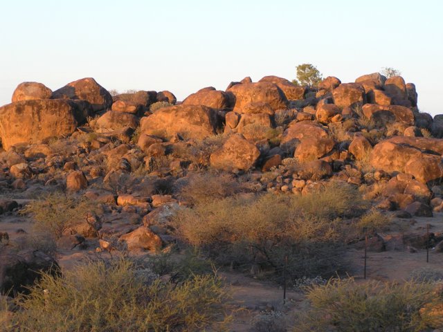 tagalong901.jpg