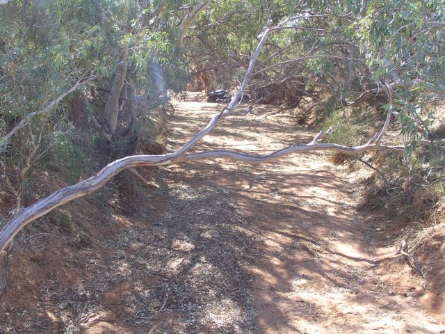 tagalong934.jpg