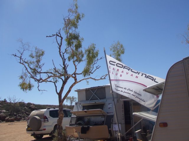 tagalong948.jpg