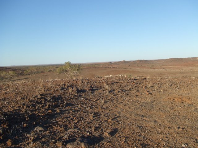 tagalong965.jpg