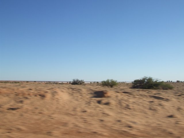 tagalong982.jpg