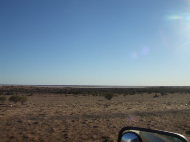 tagalong984.jpg