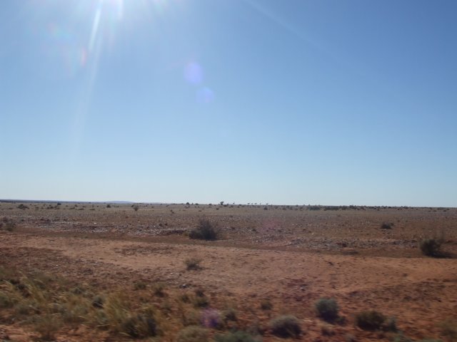 tagalong991.jpg