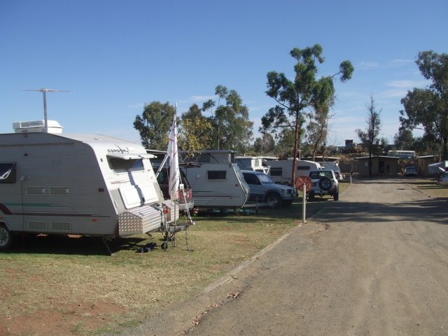 tagalong993.jpg